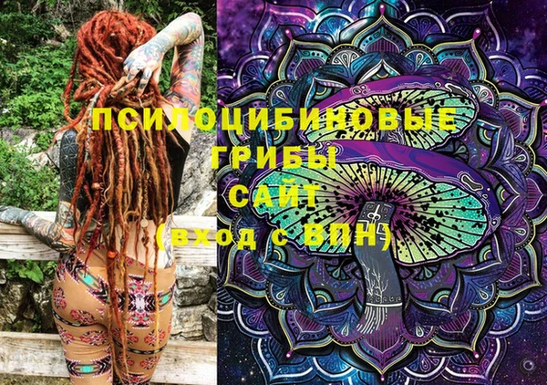 шишки Абинск