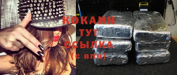 шишки Абинск