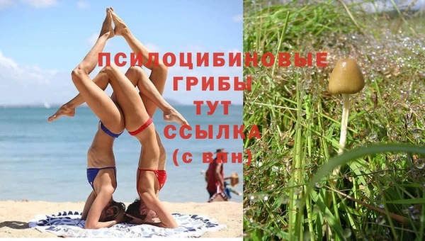 твердый Абдулино