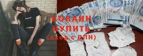 шишки Абинск