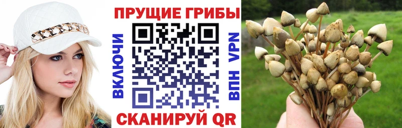 купить сайты Советская Гавань Галлюциногенные грибы прущие грибы